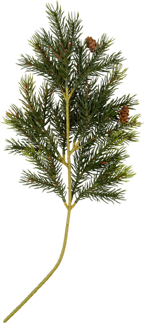 Grankvist natur med kongler 50 cm